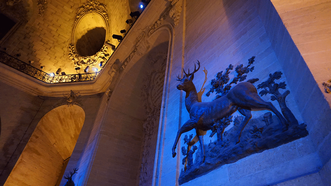 chantilly-esp-equestre