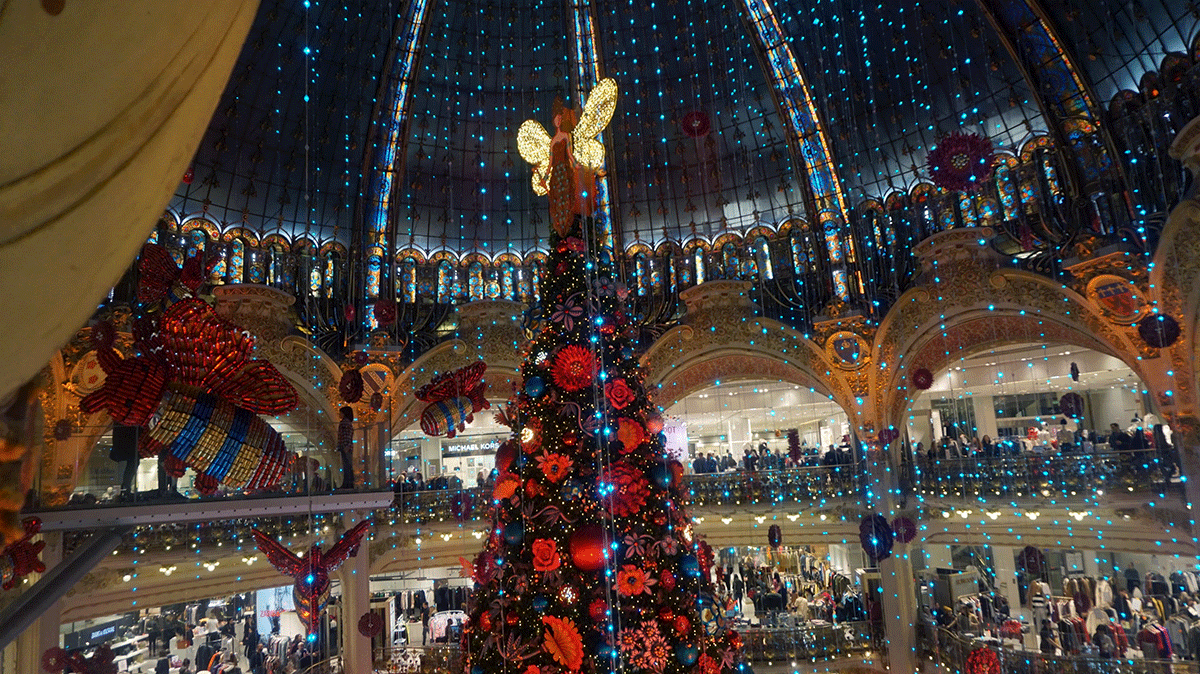 Abelha rainha enfeita Natal na Lafayette 